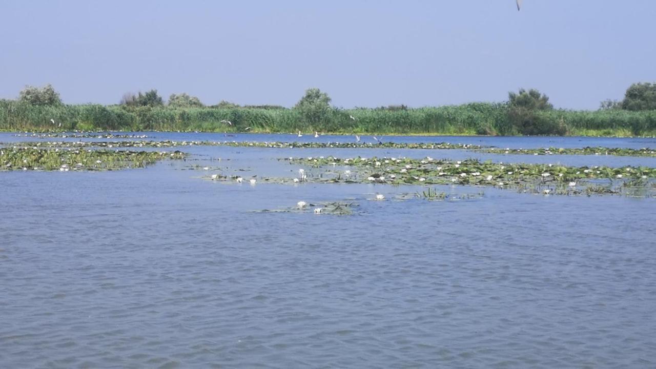 Gorgova Delta Village Eksteriør billede
