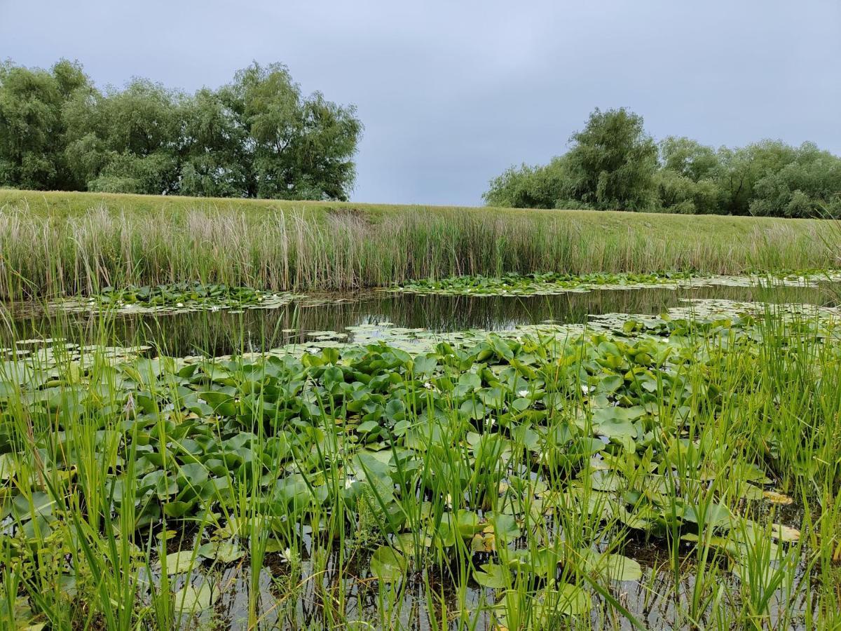 Gorgova Delta Village Eksteriør billede